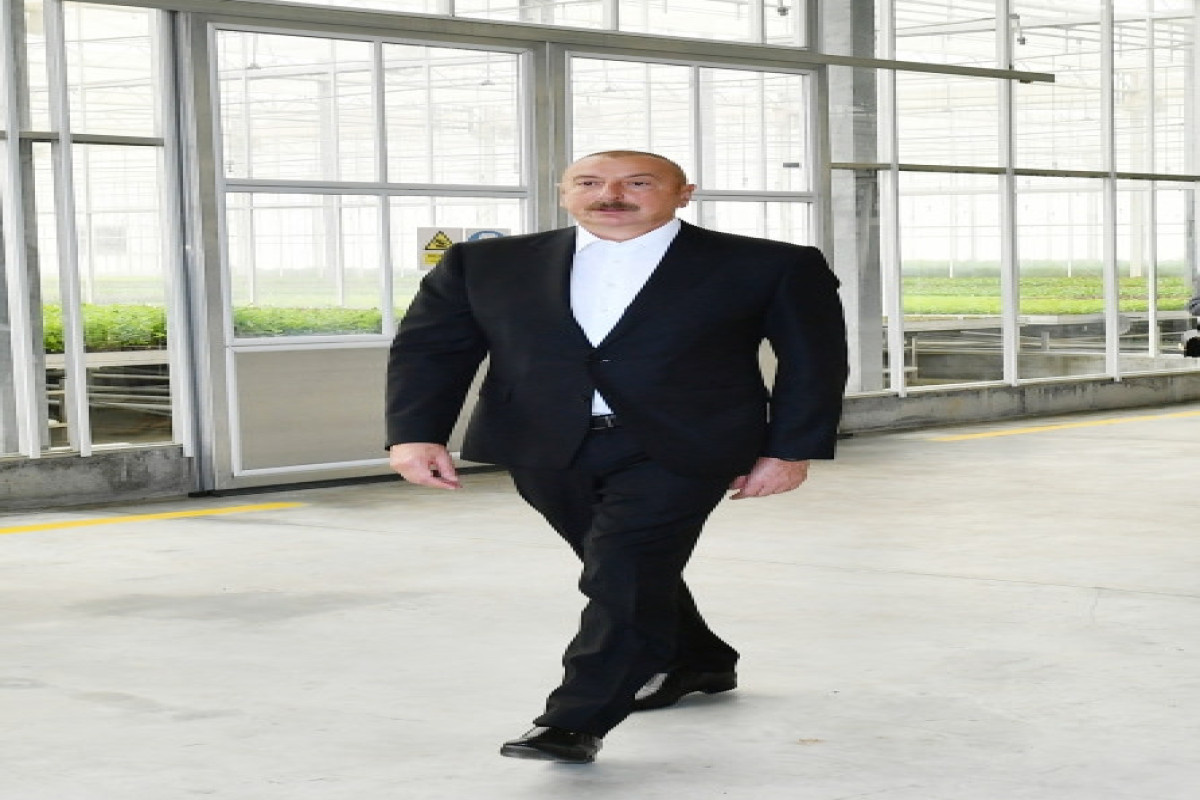 Prezident 