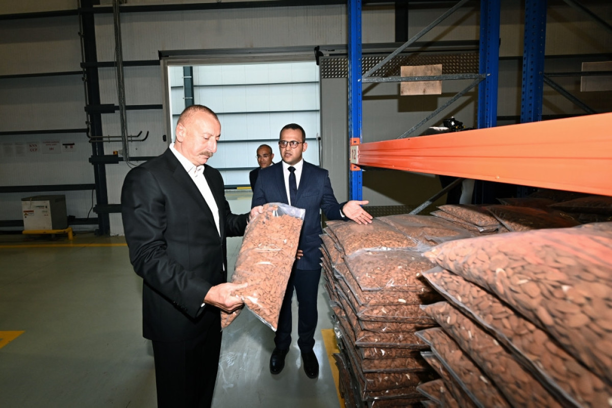 Президент ознакомился с предприятием ООО «Grand-Agro İnvitro», принял участие в открытии перерабатывающего завода ООО «Azbadam»