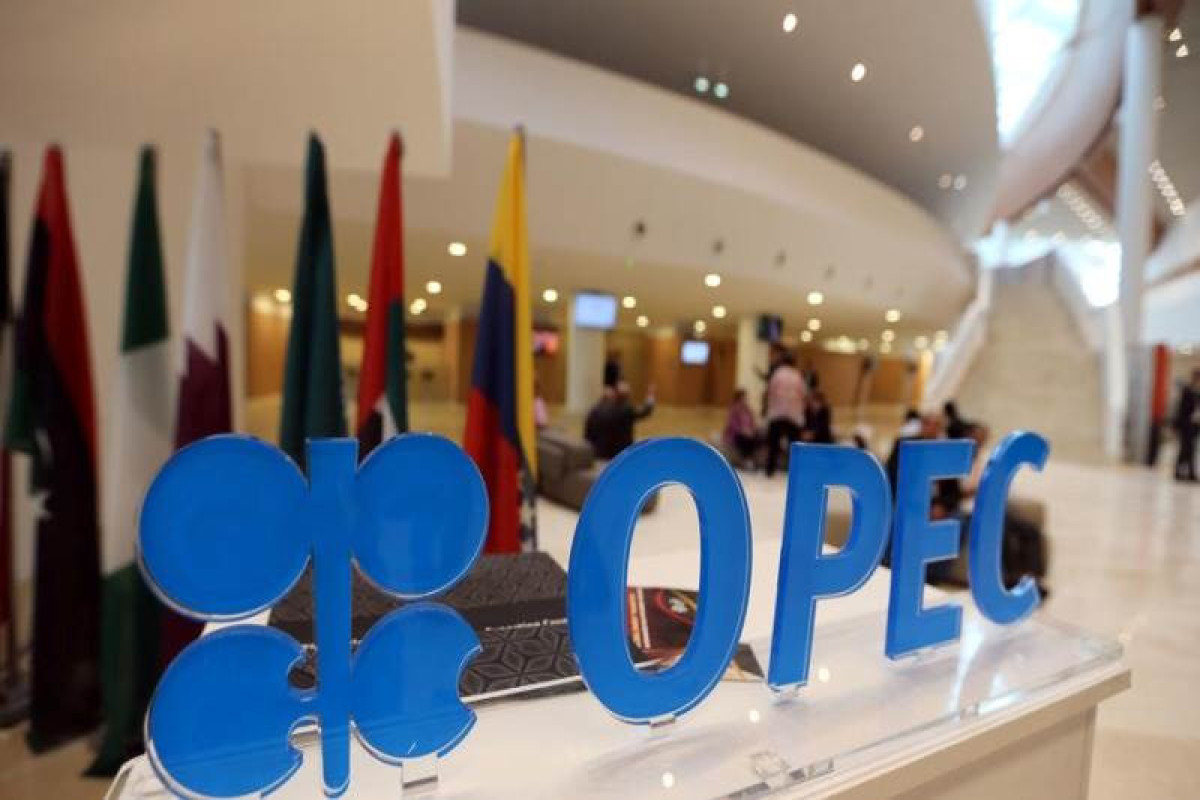 OPEC: Oil demand to recover at slower rate