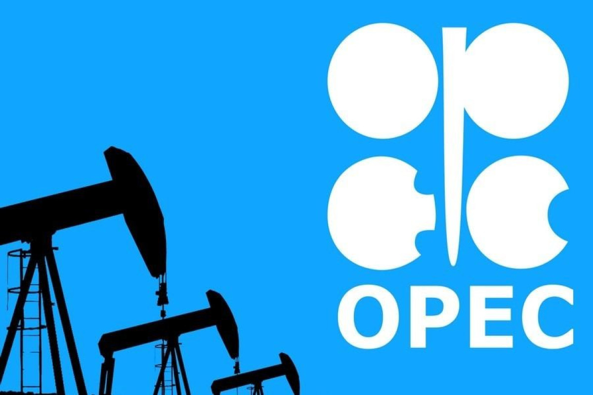 OPEC further lowers forecasts for global economy and oil demand in 2022