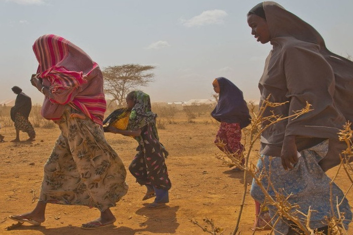 Миллион человек были вынуждены покинуть свои дома из-за засухи в Сомали