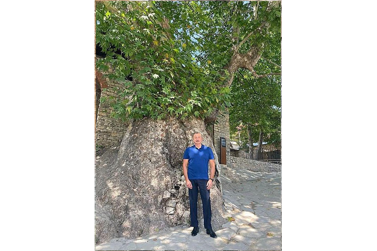 Первый вице-президент Мехрибан Алиева поделилась фотографиями из поселка Басгал