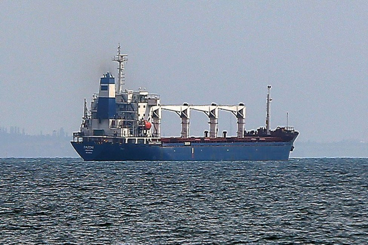 First Africa-bound grain ship arrives in Ukrainian port