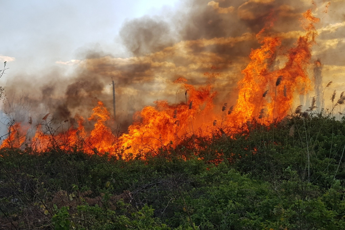 В Шабране начался пожар в горной местности