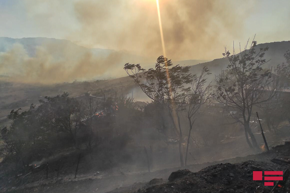 Şabranda biçilmiş taxıl sahəsində başlayan yanğın 6 kəndi əhatə edib - VİDEO  - YENİLƏNİB 2  