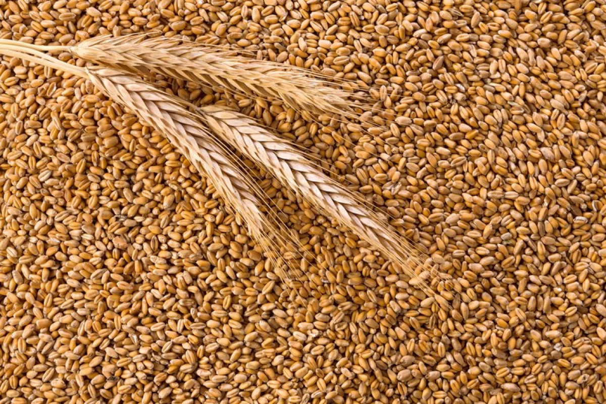Azerbaijan increases wheat imports by 5%
