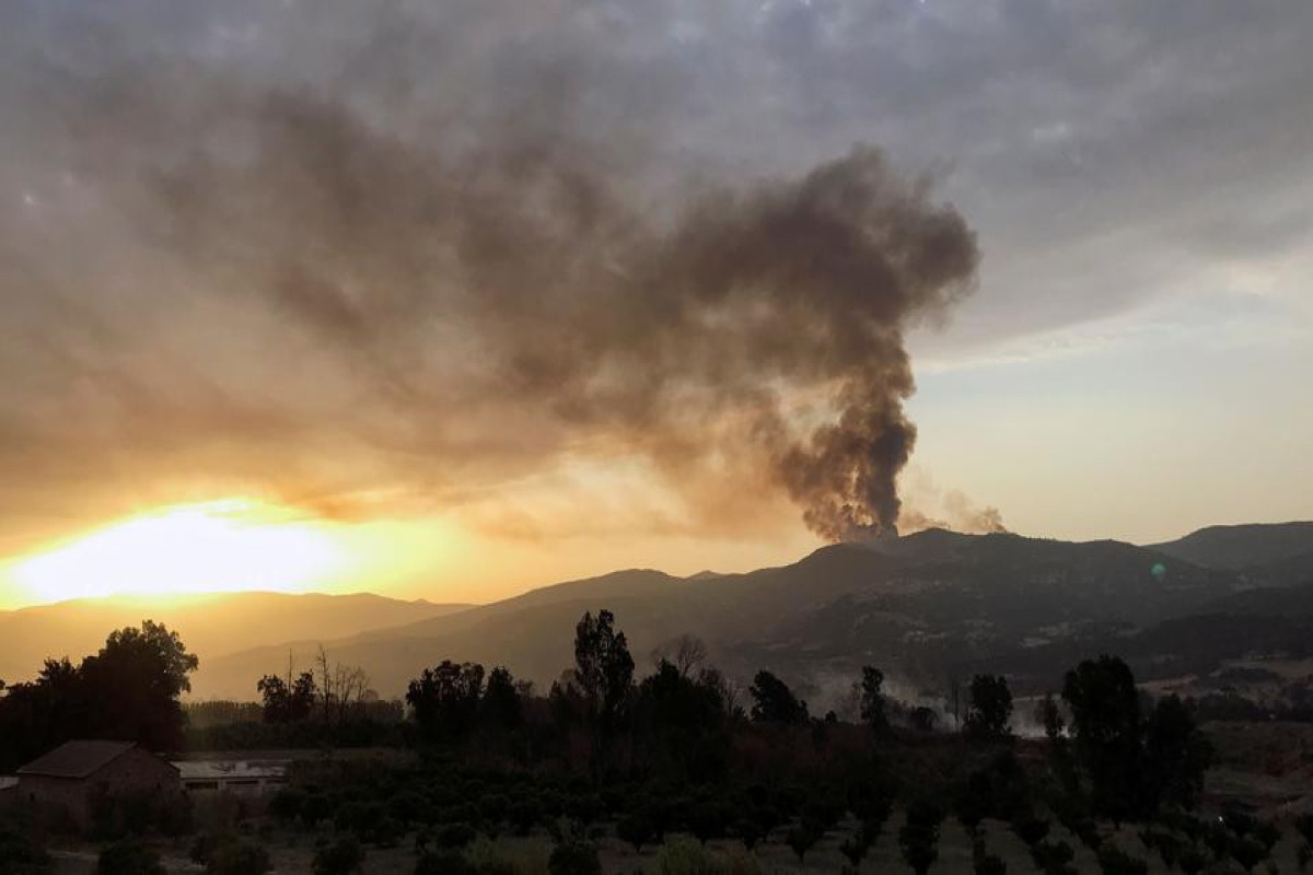 В результате лесных пожаров в Алжире погибли 26 человек