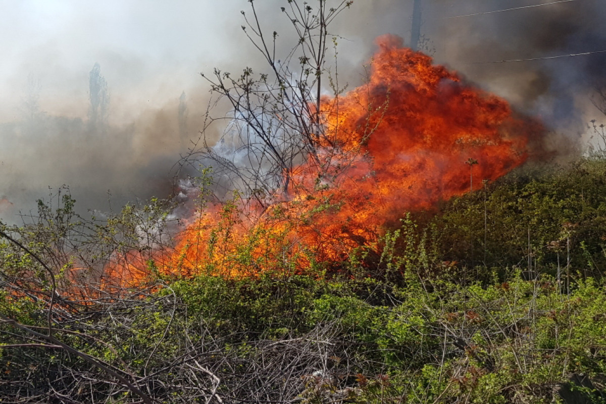 В лесном массиве в селе Кирвар Шабранского района начался пожар 