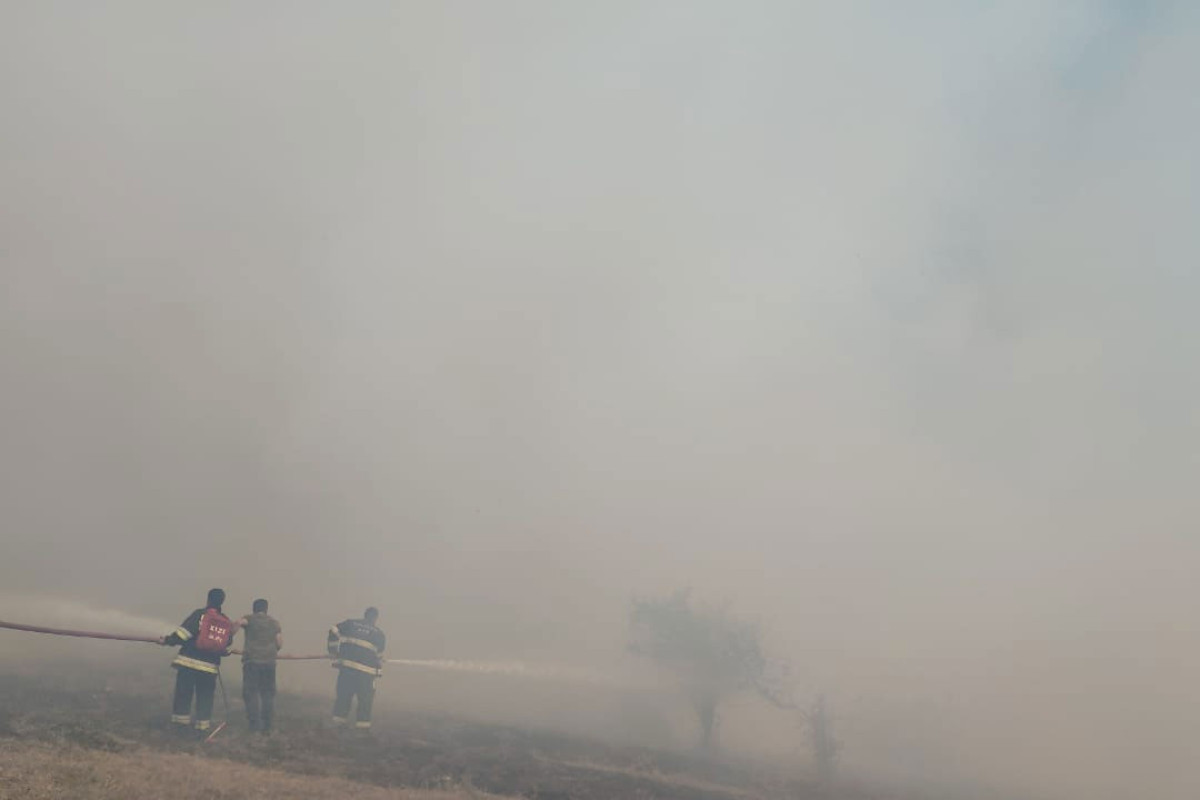 В северном и северо-западном регионах страны продолжаются меры по тушению пожаров