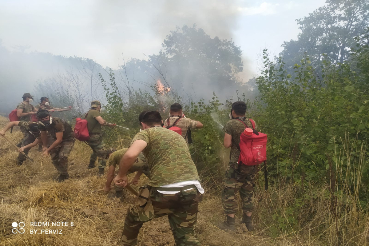 Тушение лесных пожаров в Азербайджане