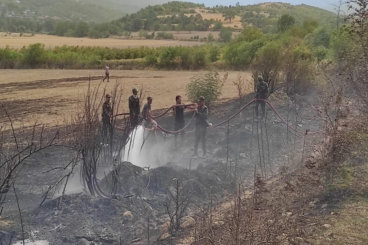 "Fire season" in the world: how is the situation in Azerbaijan?-PHOTO -VIDEO 