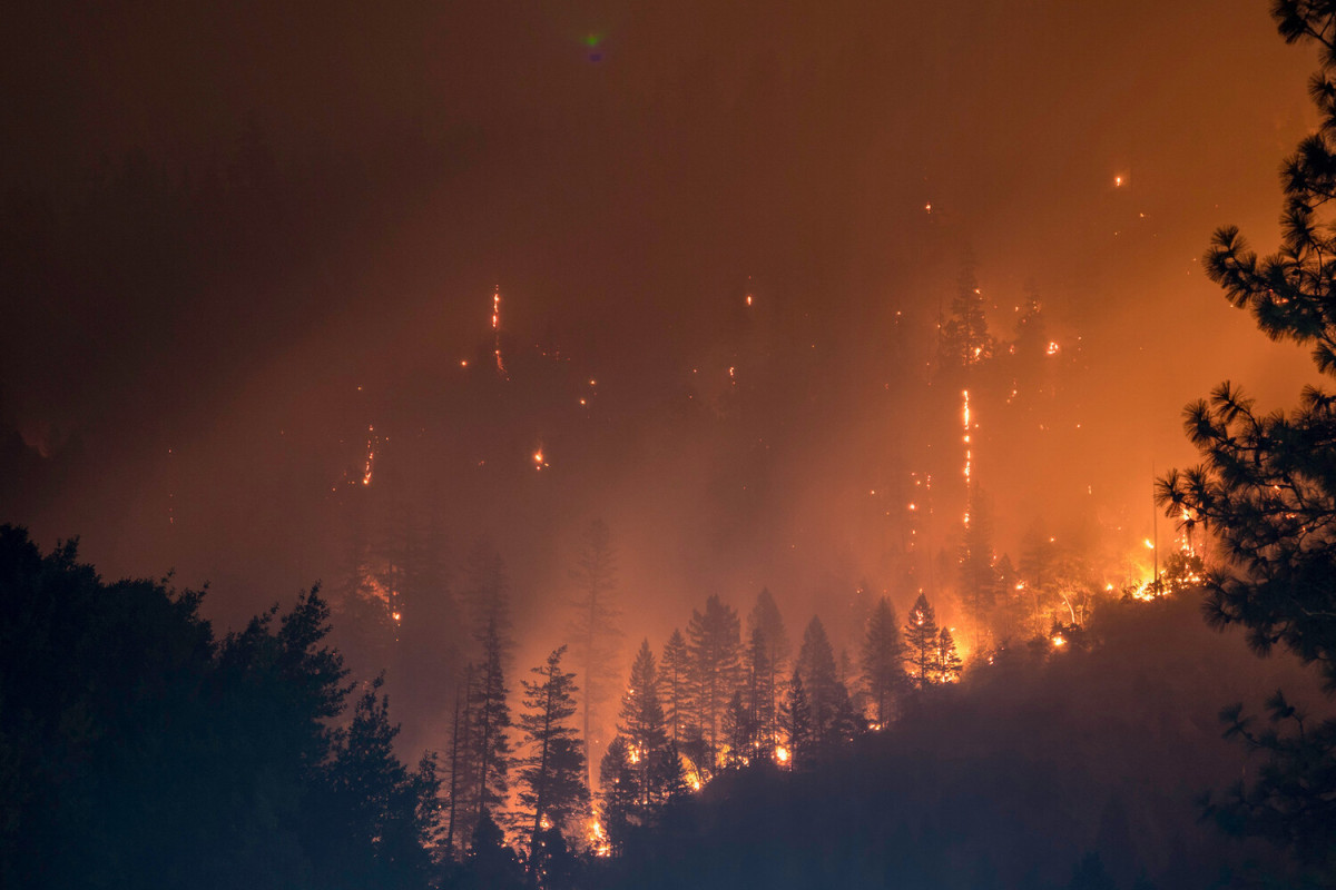 В российском регионе введен режим ЧС из-за лесных пожаров