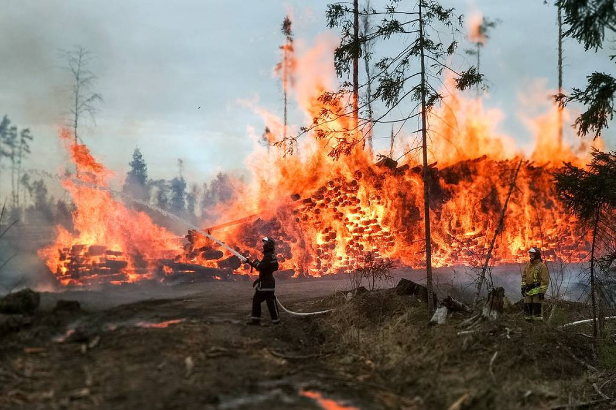 Russia bans entry to forests in some areas due to fire