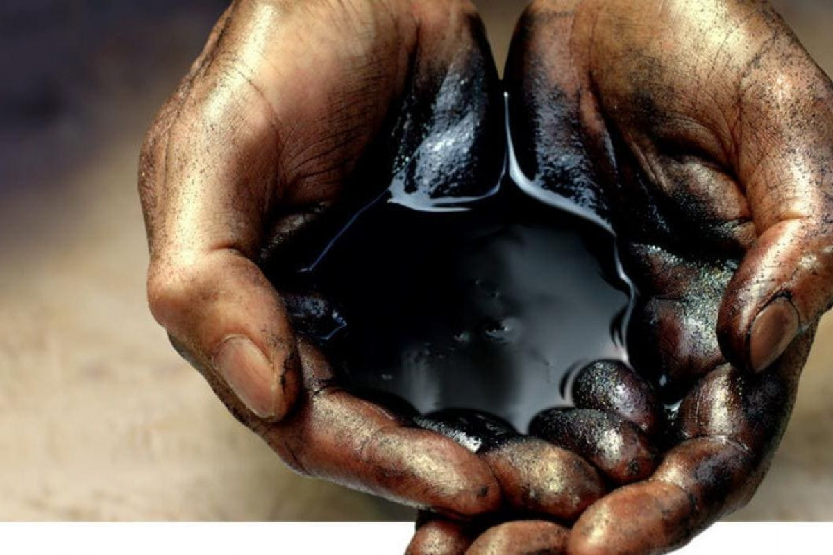 OPEC: İlin sonuna qədər tələbin perspektivlərinə son dərəcə nikbin baxırıq