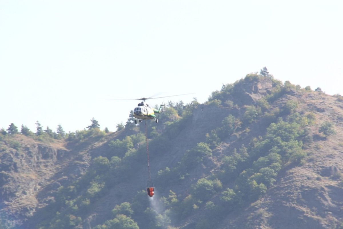 Gürcüstanın Borjomi bələdiyyəsində meşə yanğınının miqyası genişlənib