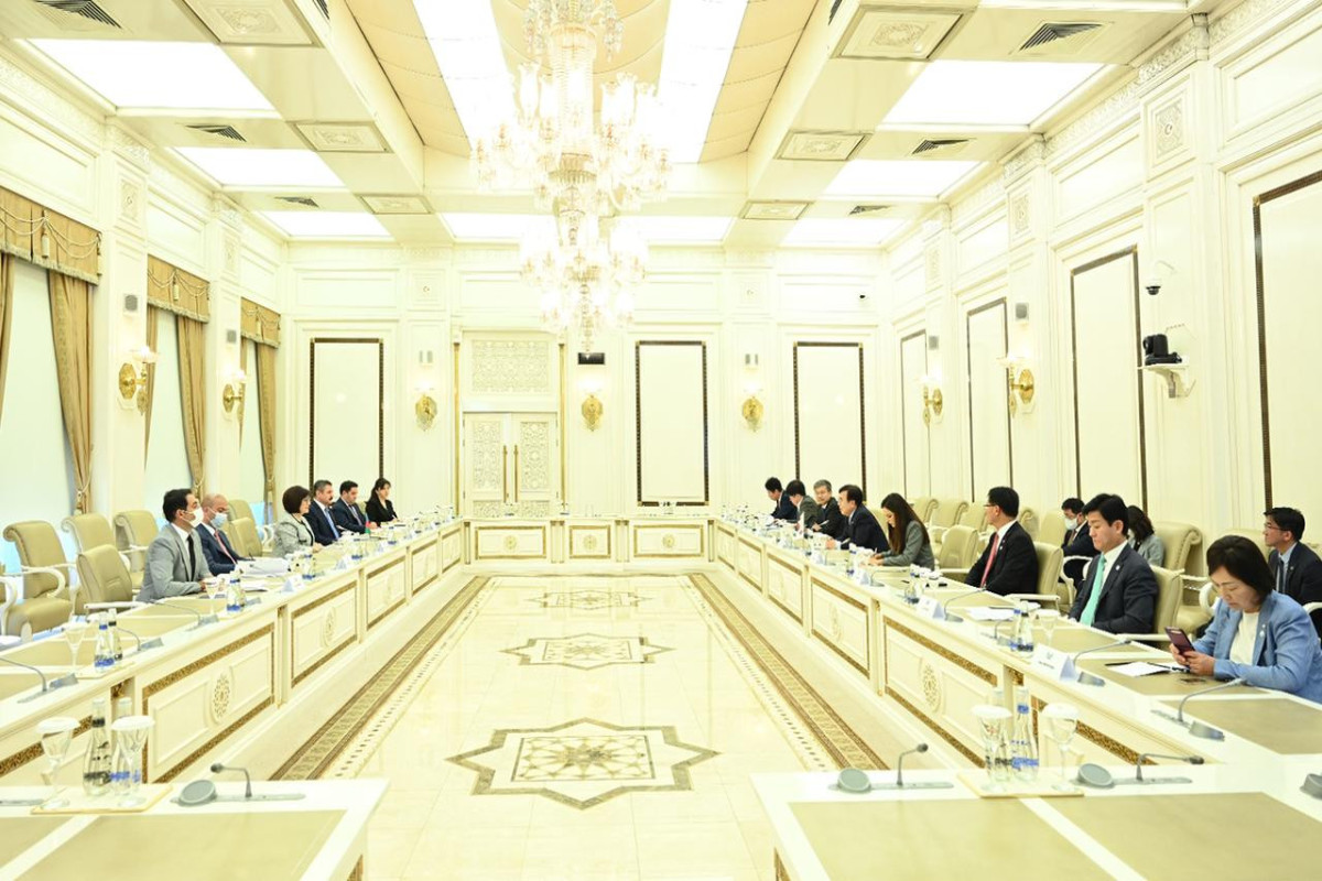 Sahibə Qafarova Koreya Respublikası Prezidentinin xüsusi nümayəndəsi ilə görüşüb
