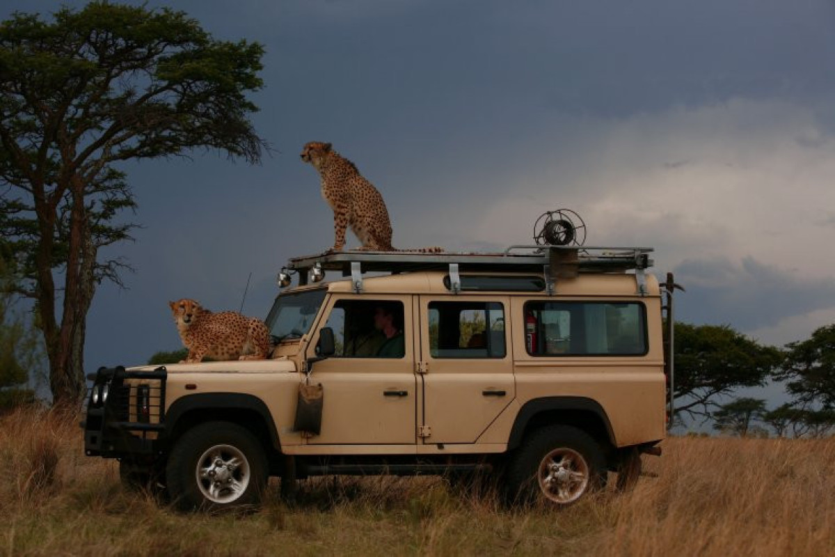 Türkiyədə turistləri daşıyan safari avtomobili aşıb, 5 nəfər ölüb, 6 nəfər yaralanıb