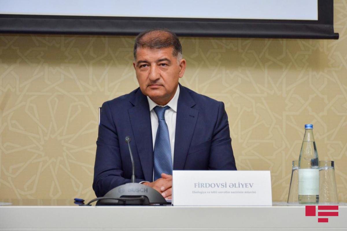 ETSN: Son günlər baş vermiş yanğınlar 5311 ha ərazini əhatə edib