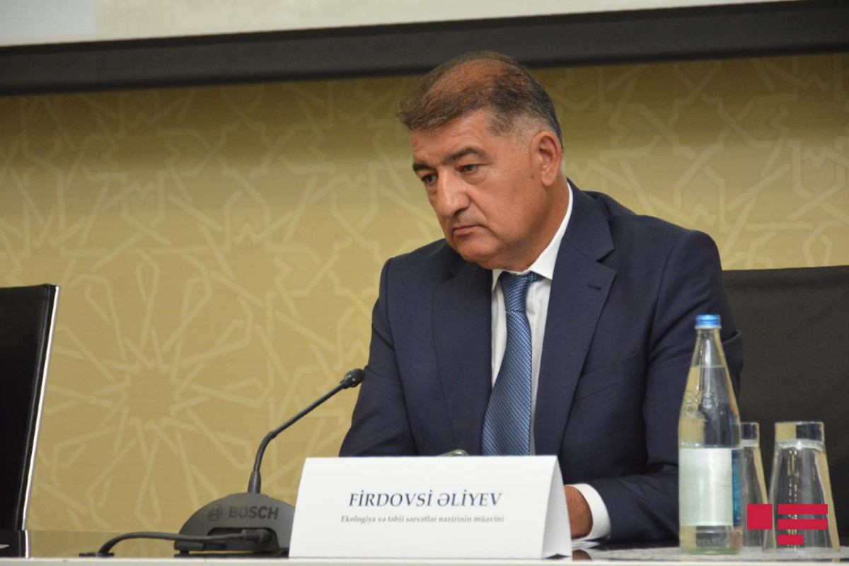 Firdovsi Əliyev: "Şimal bölgəsində yanğınlar Dağ Bilici kəndindən başlayıb"
