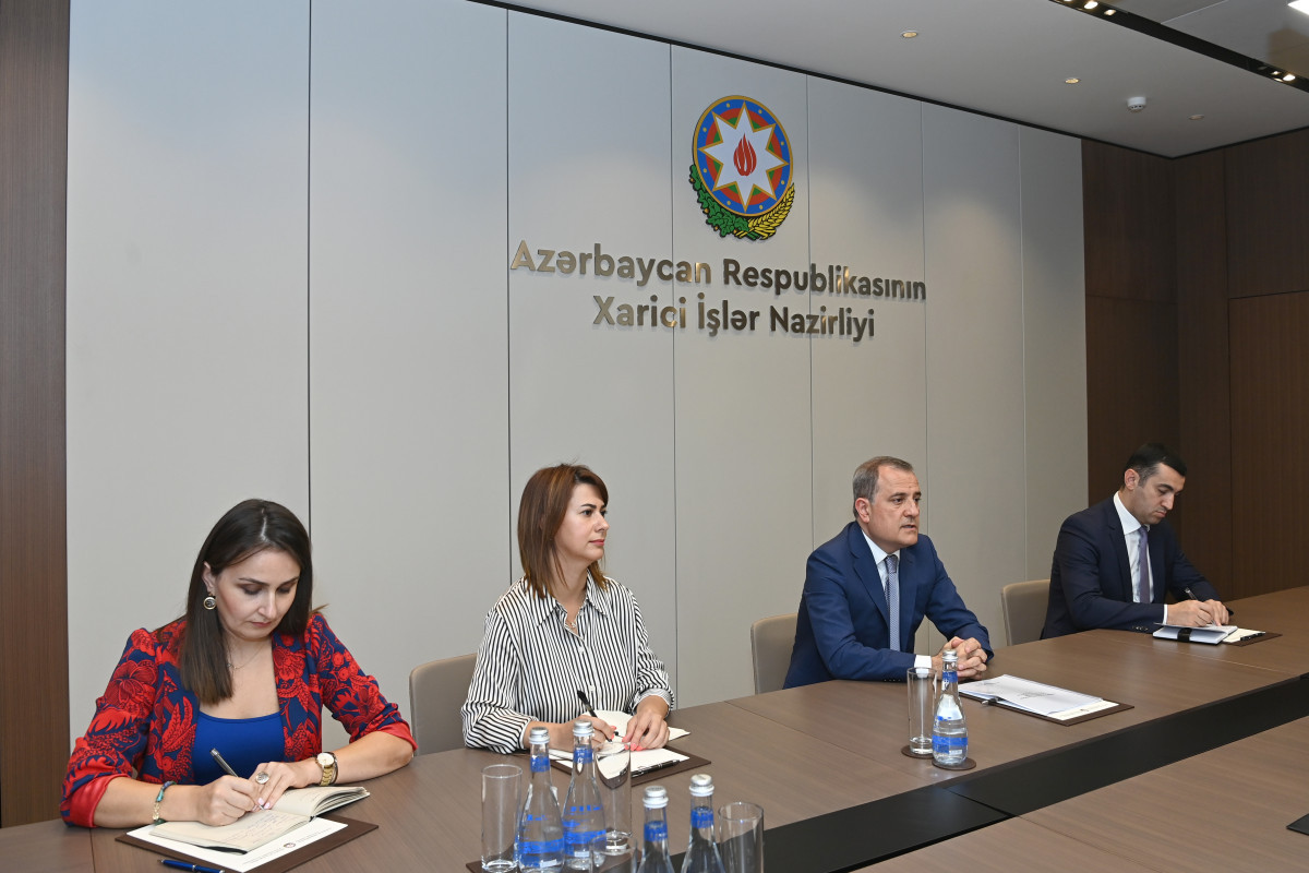 Azerbaijani FM received Head of Council of Europe Office in Baku