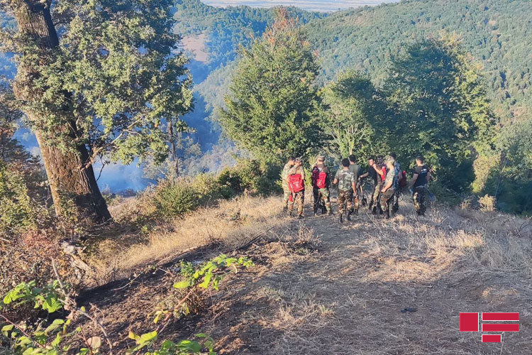 Masallıda dağlıq ərazidə yanğın