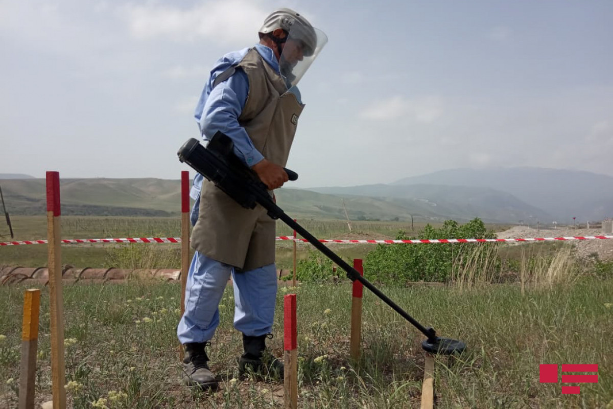 ANAMA: Another 309 mines found in Azerbaijan's liberated territories