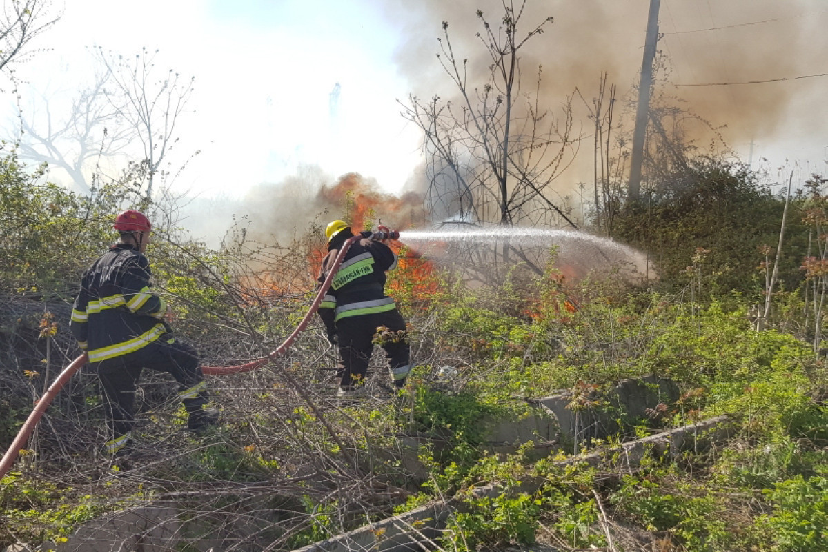 Пожар в Исмаиллинском районе потушен