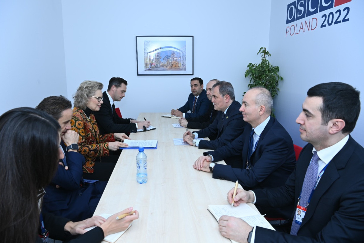 Министр: Азербайджан продолжит усилия для подписания мирного договора
