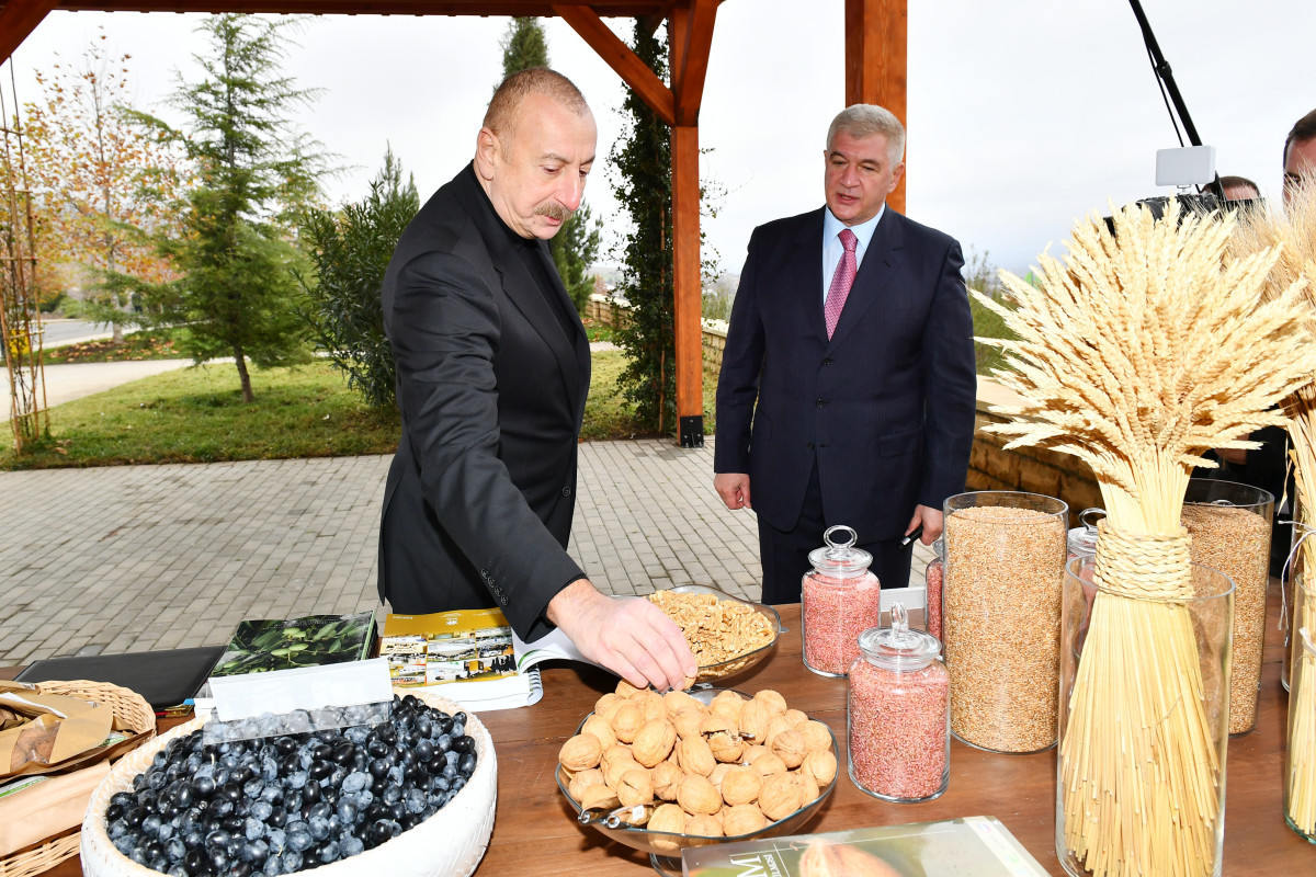 President Ilham Aliyev viewed conditions created at “Shaki-Oghuz” Agropark-UPDATED 