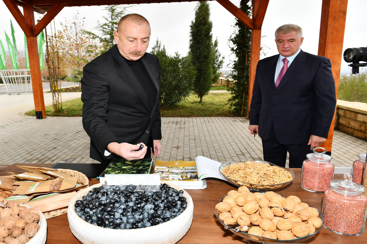 President Ilham Aliyev viewed conditions created at “Shaki-Oghuz” Agropark-<span class="red_color">UPDATED
