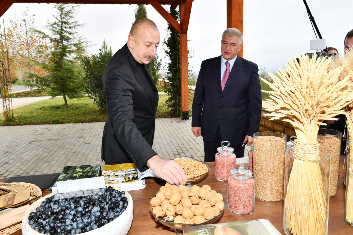 Президент Ильхам Алиев ознакомился с условиями, созданными в агропарке «Шеки-Огуз»