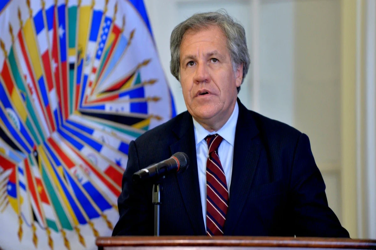 Генсек ОАГ признал Болуарте в качестве нового президента Перу