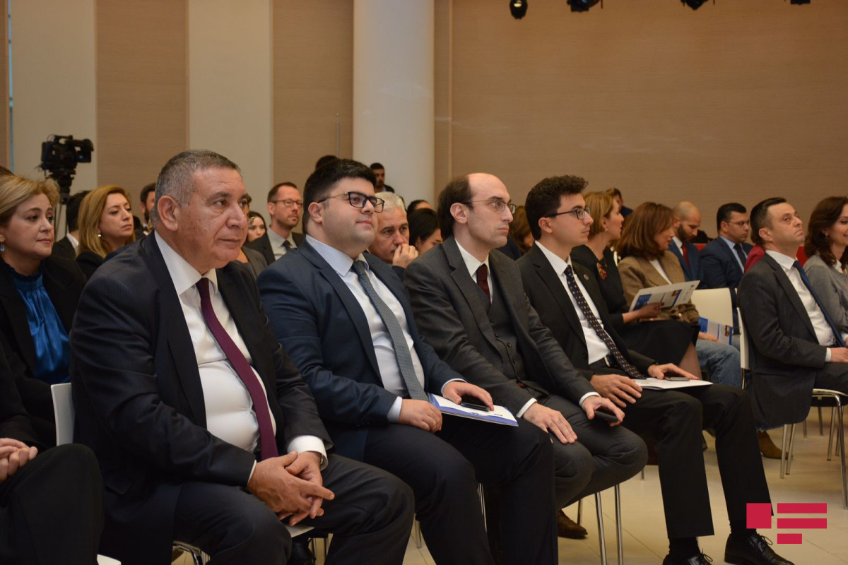 Совет Европы уверен в дальнейшем расширении возможностей сотрудничества с Азербайджаном - ФОТО 