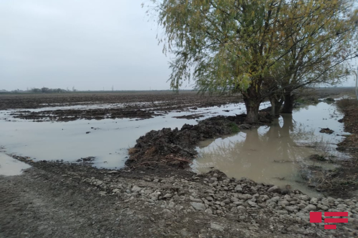 Tərtərdə su kanalı uçub, kənddə həyətləri və əkin sahələrini su basıb  - FOTO 