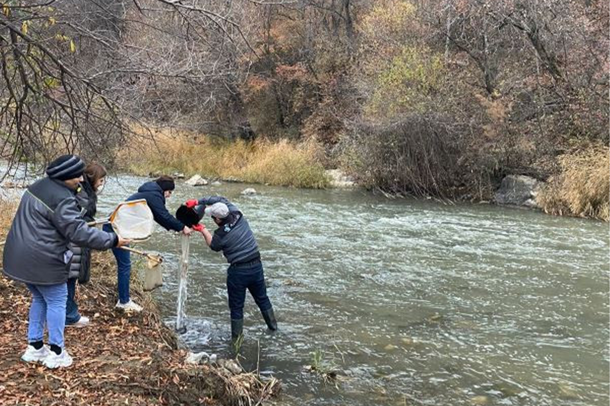Zoologiya İnstitutunun əməkdaşları Oxçuçaydan materiallar toplayıblar