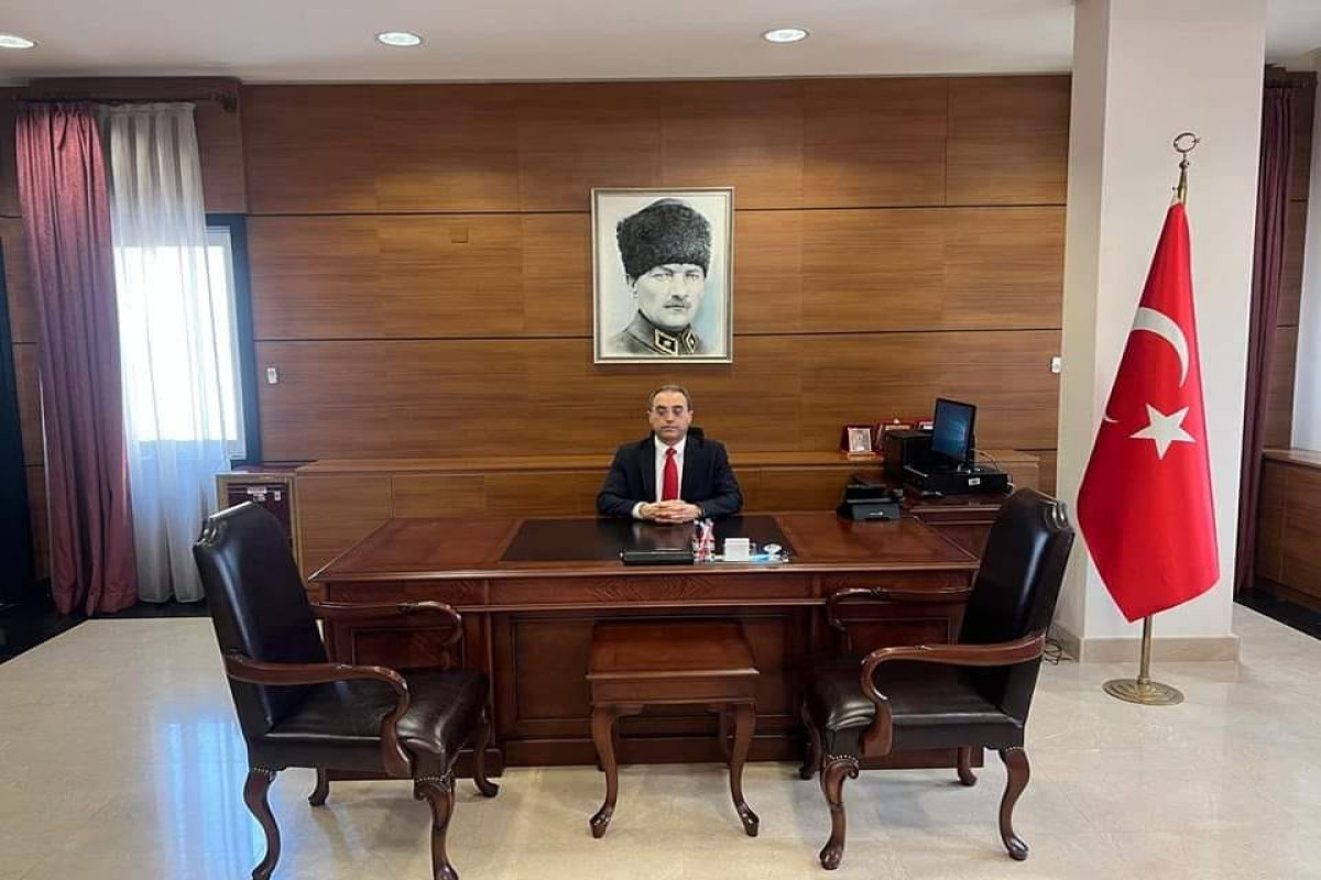Asip Kaya
