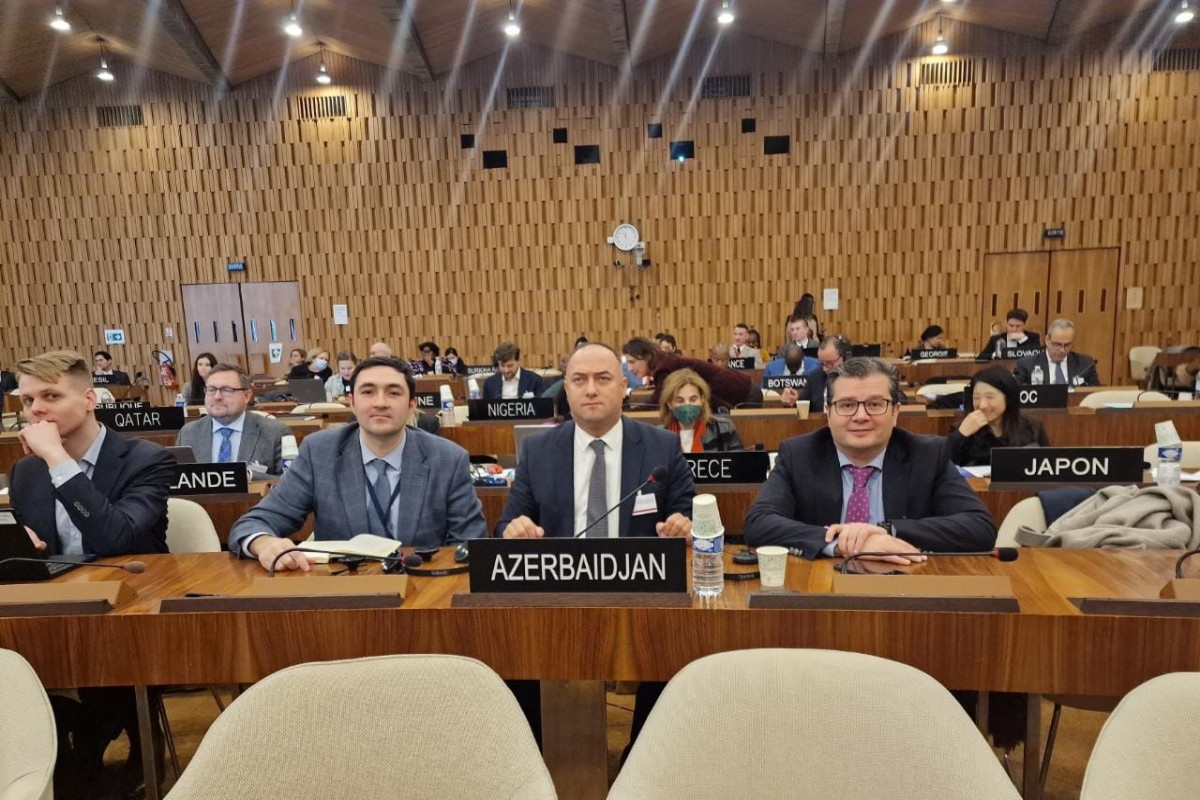 Azərbaycan UNESCO Komitəsinin sədr müavini vəzifəsinə seçilib