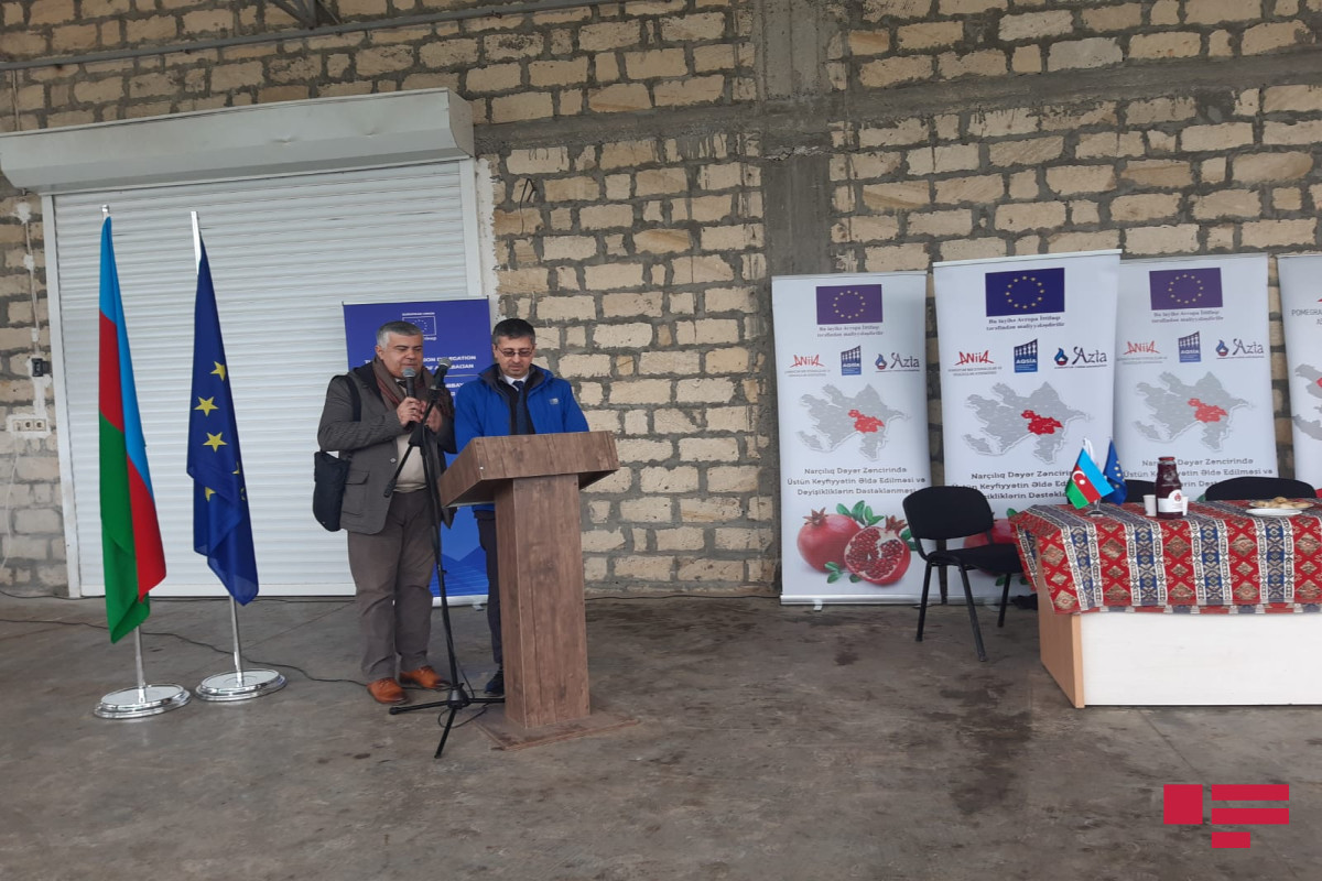 Aİ-nin dəstəyi ilə 4 rayonda 83 ha nar bağı salınıb