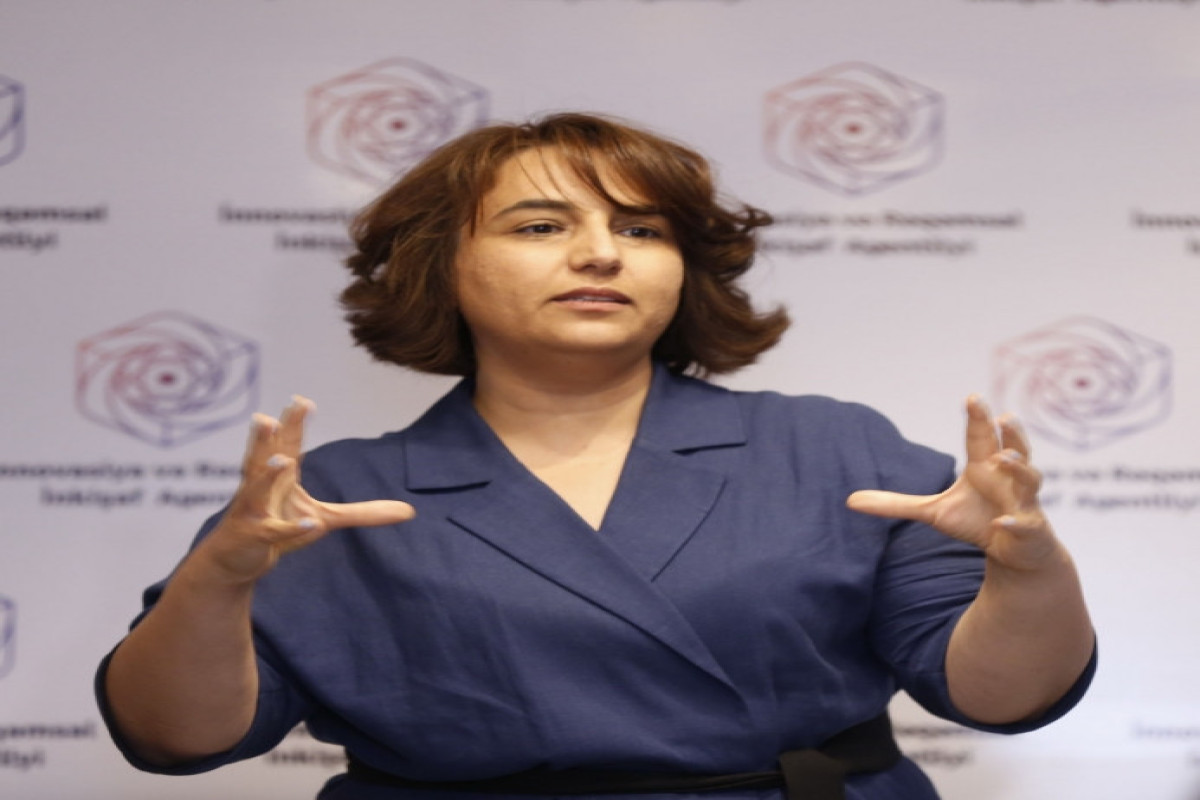 İRİA sədri: Yeni qanun layihələri fəaliyyət üçün şərait yaradacaq