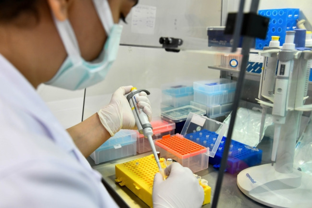 SN: Genetik test insandan ömründə yalnız bir dəfə götürülür
