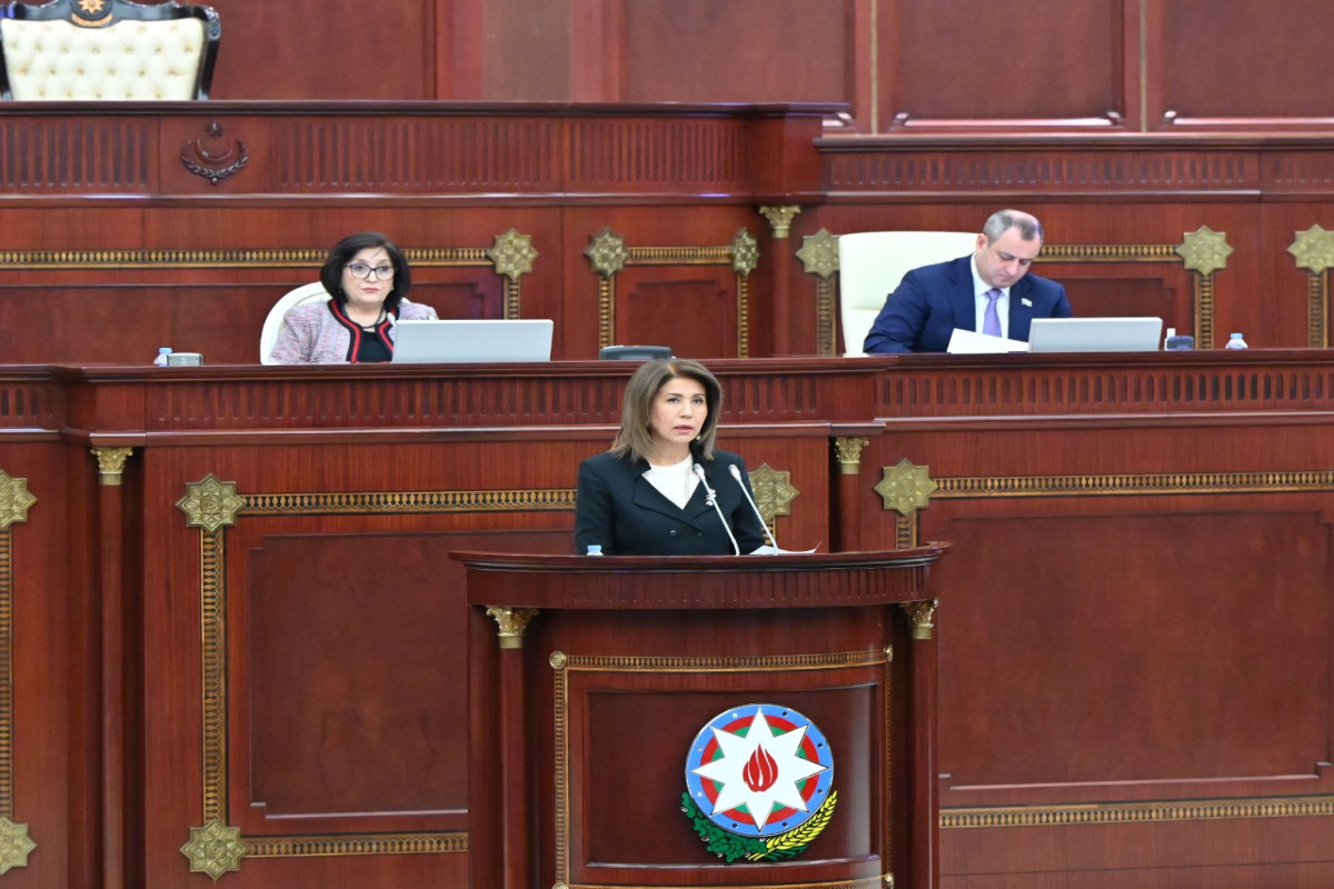 Dövlət Komitəsinin sədri: Ancaq 3 sığınacaq xidmət göstərir, olan budur