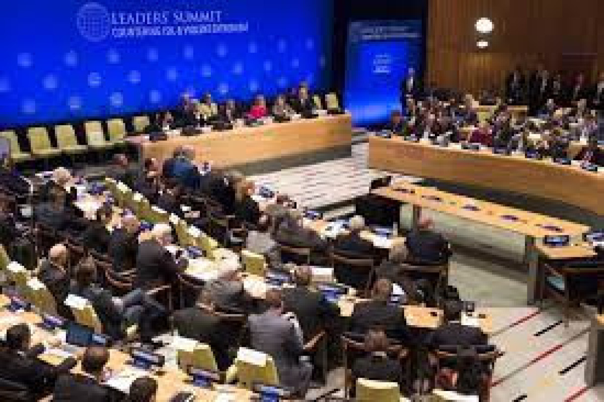 UN General Assembly designates Feb. 12 as int