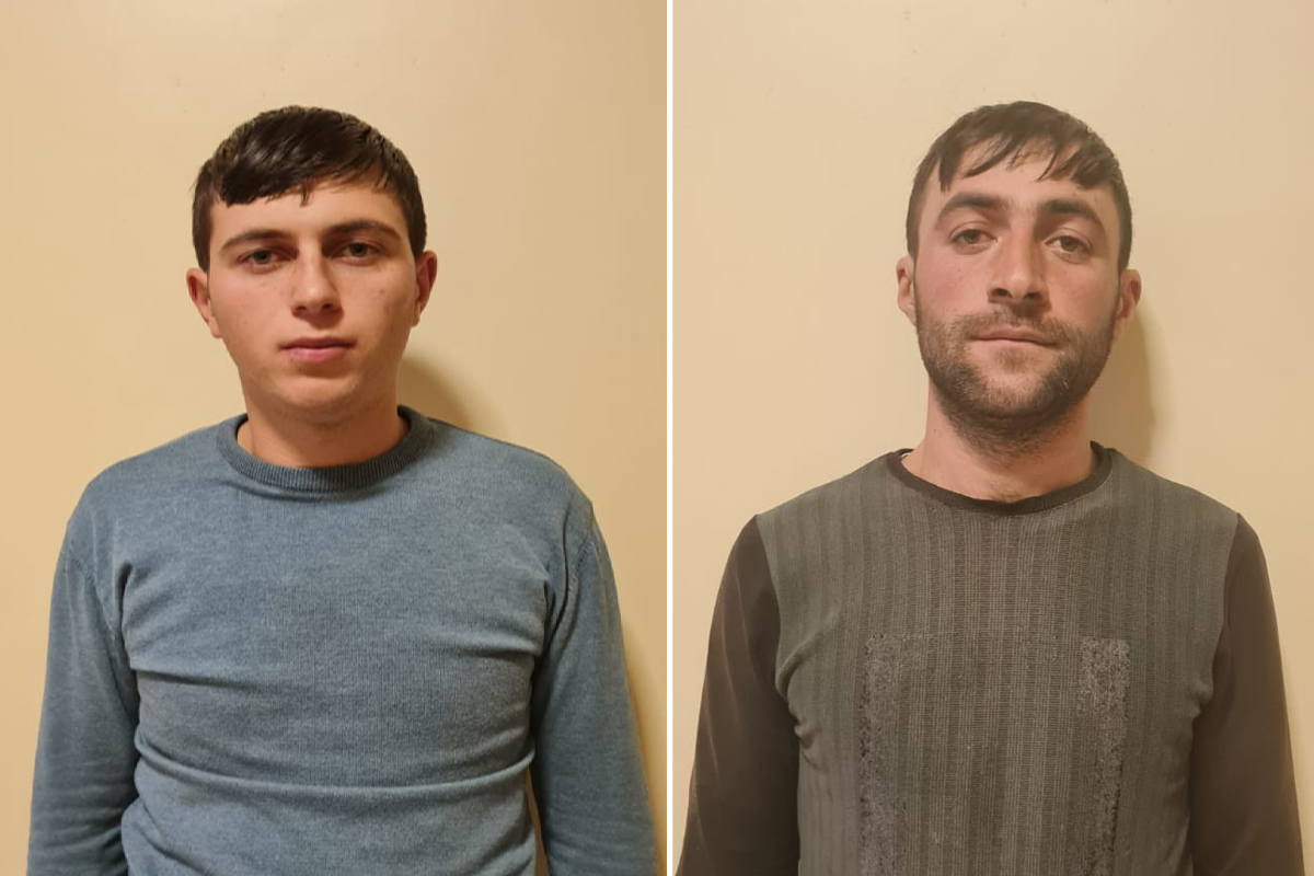 Göygöldə it döyüşdürən şəxslər həbs edilib