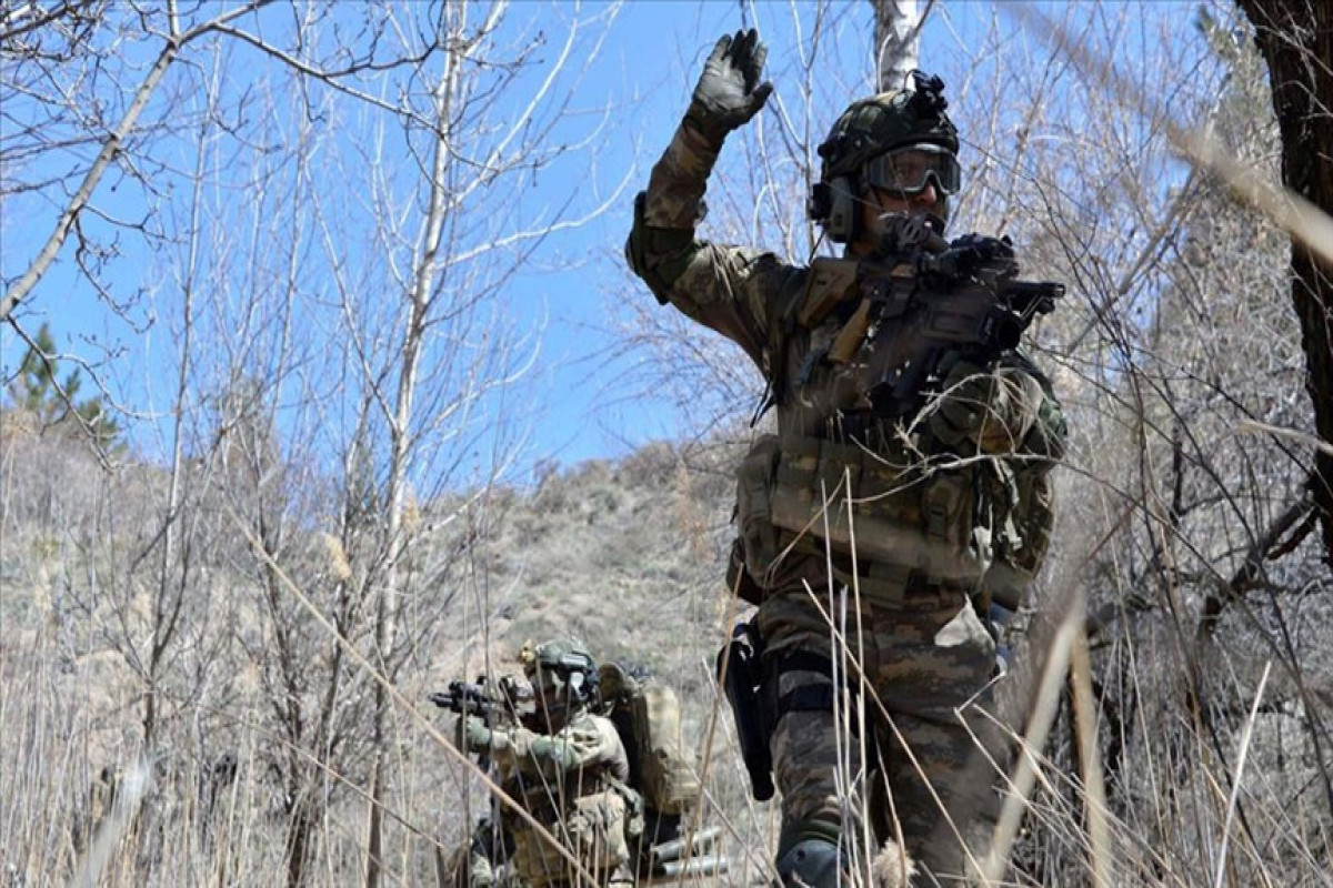 PKK-nın daha 5 terrorçusu zərərsizləşdirilib