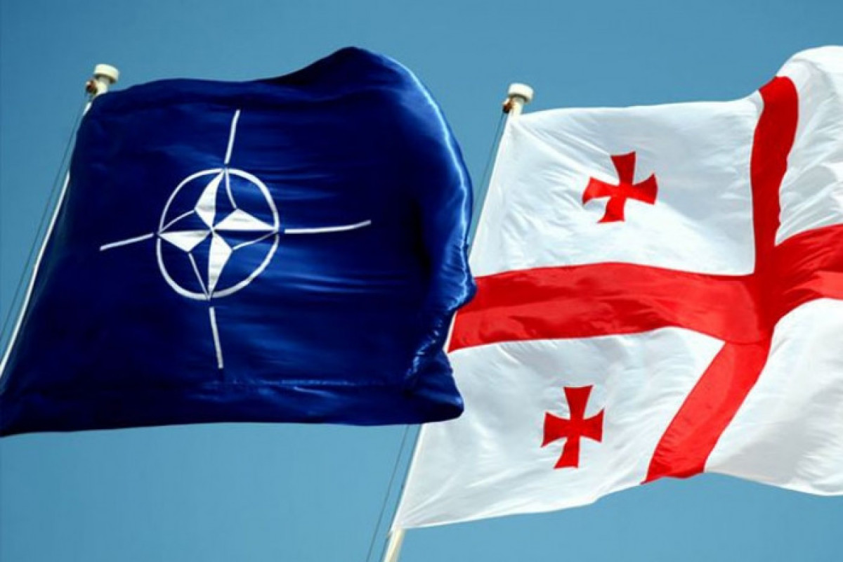 Gürcüstan NATO ilə birgə hərbi təlimlər keçirəcək