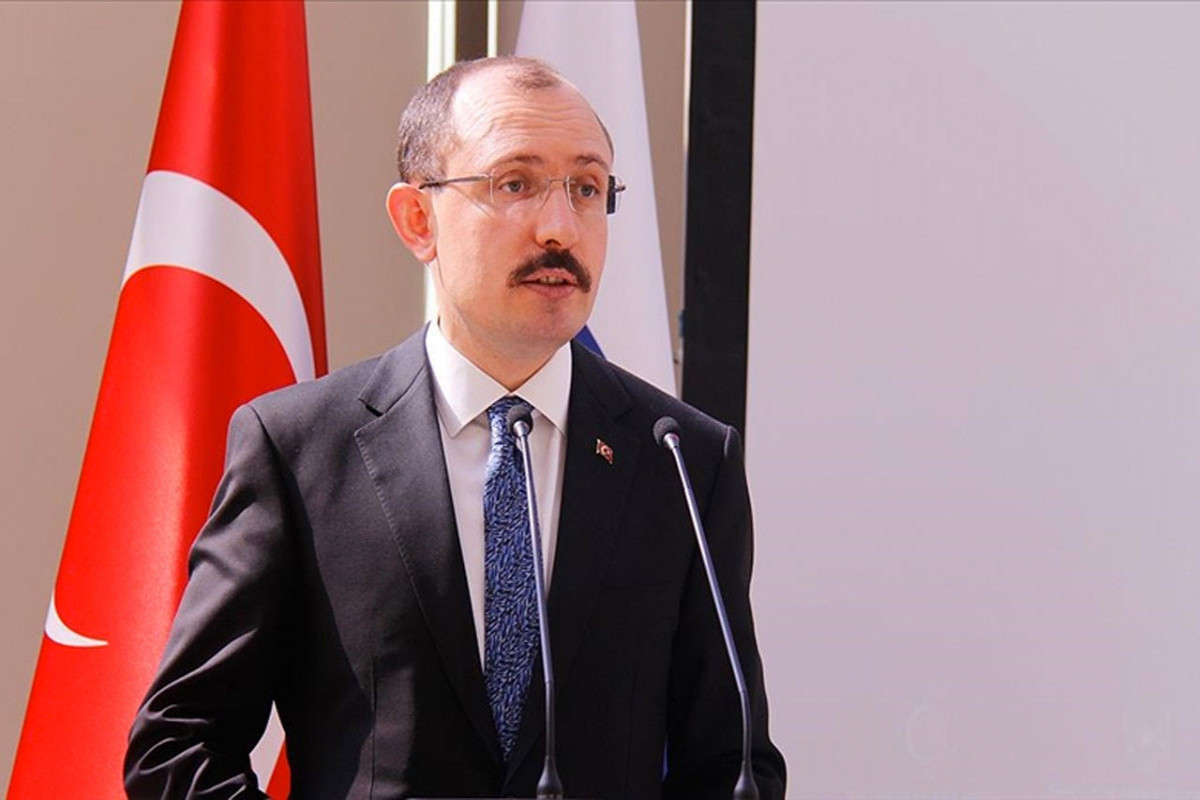 Mehmet Muş