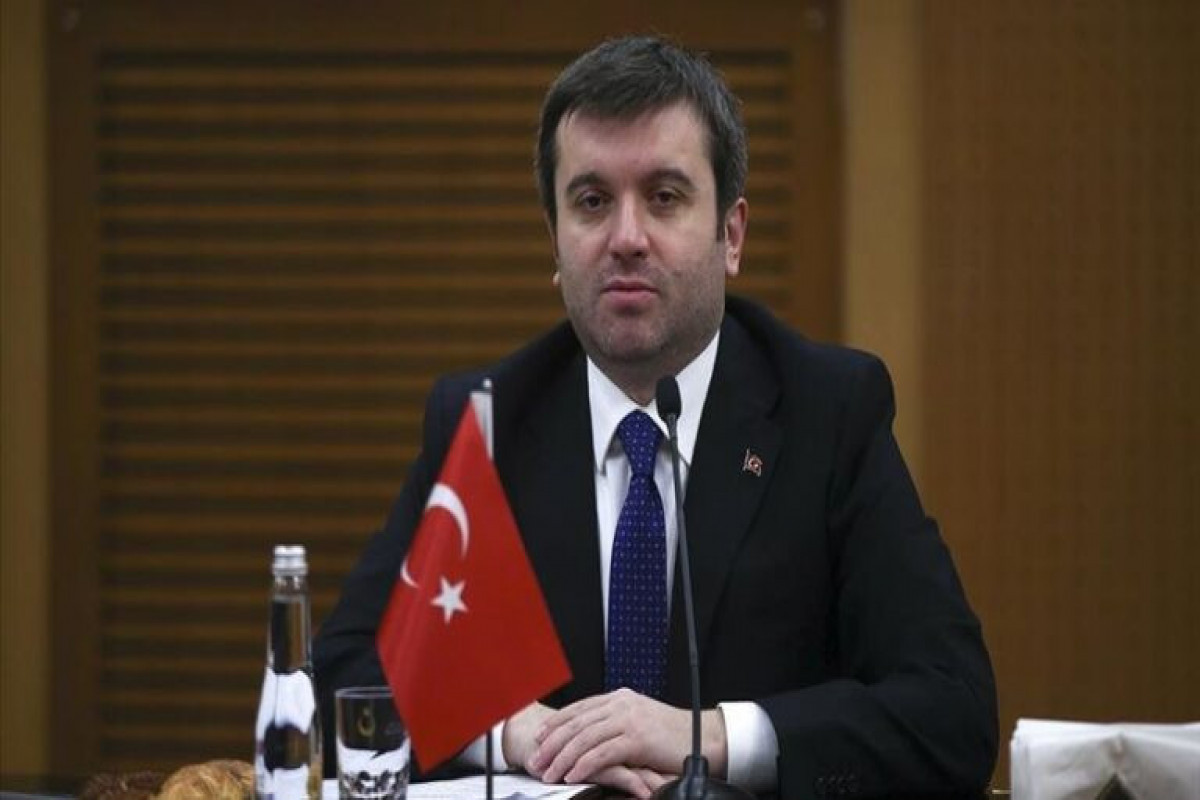 Yavuz Selim Kiran, Turkish Deputy Foreign Minister