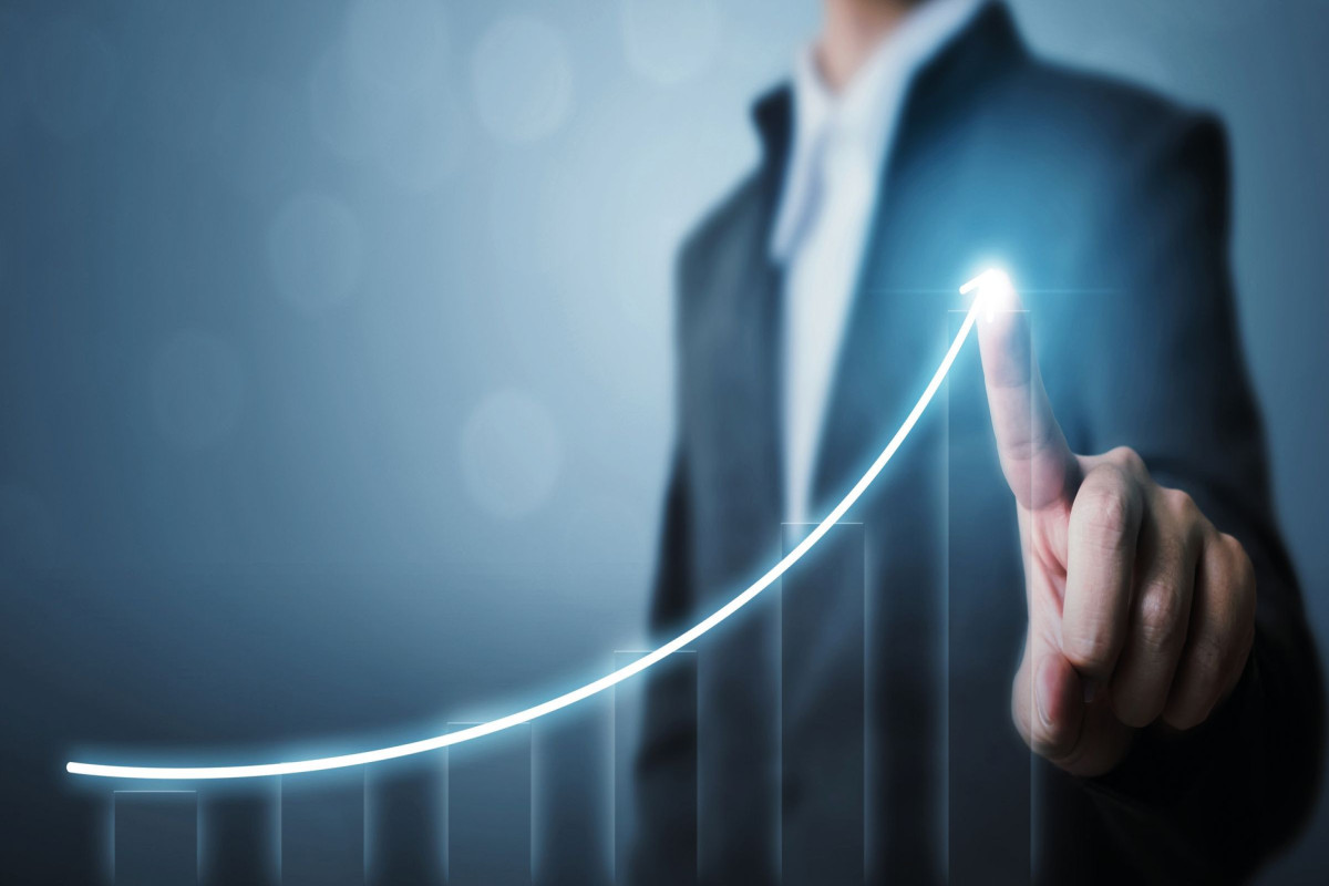 Azərbaycanda ötən il mikrosahibkarların gəlirləri 54% artıb
