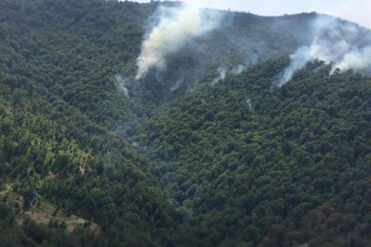 yanğın