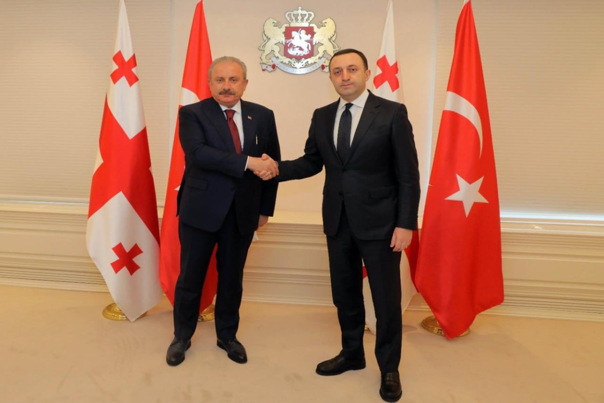 Şentop, Qaribaşvili